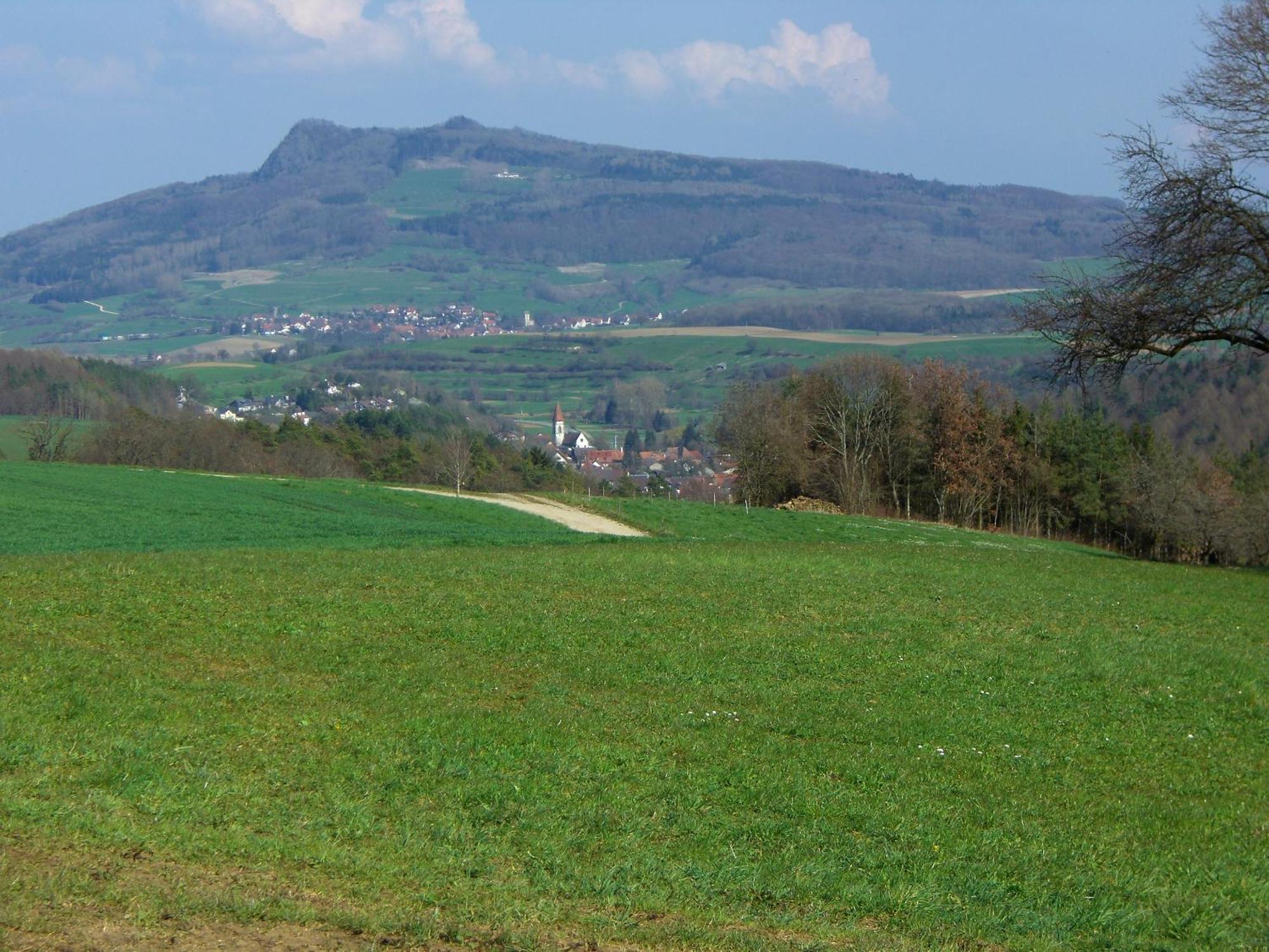 Hegauliebe Appartement Tengen Buitenkant foto